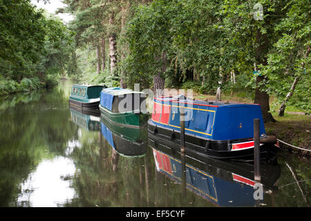 Drei bunte lange Boote auf Basingstoke Canal in Surrey, England Stockfoto