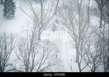 Manhattan, New York, USA. 26. Januar 2015. Central Park als ein Schneesturm kommt in New York City, Montag, 26. Januar 2015. © Bryan Smith/ZUMA Draht/Alamy Live-Nachrichten Stockfoto