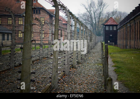 (150127)--Brüssel, 27. Januar 2015 (Xinhua)--Foto aufgenommen am 9. November 2012 zeigt dem Stacheldrahtzaun auf das ehemalige Konzentrationslager Auschwitz in Oswiecim, Polen. Die Feierlichkeiten zum 70. Jahrestag der Befreiung von Auschwitz Konzentration Lagers begann am Dienstagmorgen in der polnischen südlichen Stadt Oswiecim. Das Konzentrationslager wurde 1940 von den deutschen vor allem für das Ziel der polnischen Gefangenen einsperren gegründet. Seit 1942 wurde es eins der größten Orte jüdischen Vernichtungskrieg, mit mehr als 1,1 Millionen Menschen getötet, darunter auch Polen, Rumänen, sowjetische Gefangene in Europa ein Stockfoto