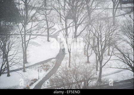 Manhattan, New York, USA. 26. Januar 2015. Central Park als ein Schneesturm kommt in New York City, Montag, 26. Januar 2015. © Bryan Smith/ZUMA Draht/Alamy Live-Nachrichten Stockfoto