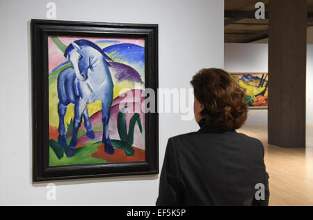 München, Deutschland. 27. Januar 2015. Ein Besucher schaut das Gemälde "blaues Pferd ich" (1911) von Franz Marc auf der Pressekonferenz zur Ausstellung "August Macke und Franz Marc - eine Künstler-Freundschaft" im Lenbachhaus Kunstbau Museum in München, Deutschland, 27. Januar 2015. 100 Jahre nach dem Tod von Macke, zeigt das Lenbachhaus erstmals eine Ausstellung, die Freundschaft und künstlerischen Austausch zwischen den beiden Künstlern gewidmet. Die Ausstellung kann vom 28. Januar bis 3. Mai 2015 zu sehen. Foto: FELIX HOERHAGER/Dpa/Alamy Live News Stockfoto