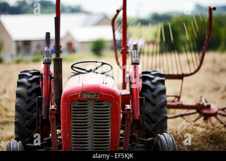 alten Massey Ferguson Traktor auf Ackerland im County down Irland Stockfoto