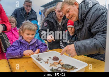 Kinder lernen über Muscheln während des Tages Festival des jährlichen Seaman, Reykjavik, Island Stockfoto