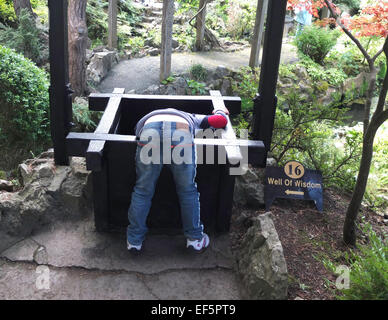 Der Brunnen der Weisheit an die Irish National Stud und japanische Gärten Stockfoto