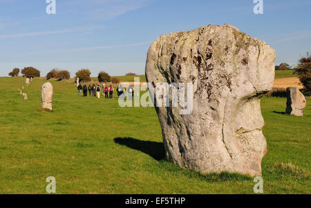 Stehenden Steinen entlang der West Kennett Avenue, Teil des UNESCO-Welterbe von Avebury. Stockfoto