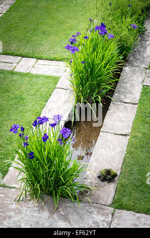 Rill mit Wasser Iris in Hestercombe Gärten Stockfoto