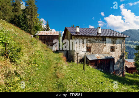 Scheune in einem grünen Feld in Ronch, kleinen Dorf in den italienischen Dolomiten Stockfoto