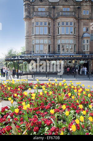 Bettys Cafe und Tee Zimmer in Harrogate North Yorkshire, Vereinigtes Königreich. Stockfoto