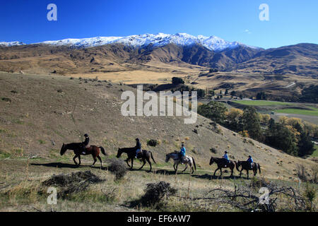 Pferdetrekking in Cardrona, in der Nähe von Wanaka, mit schneebedeckten Bergen im Hintergrund Stockfoto