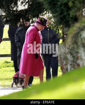 Sandringham, Norfolk, Großbritannien. 25. Januar 2015. HM Königin Elizabeth II zur Kirche in Sandringham. Sandringham, Norfolk, Großbritannien. 25. Stockfoto