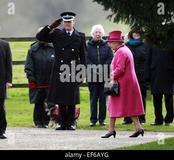 Sandringham, Norfolk, Großbritannien. 25. Januar 2015. HM Königin Elizabeth II zur Kirche in Sandringham. Sandringham, Norfolk, Großbritannien. 25. Stockfoto