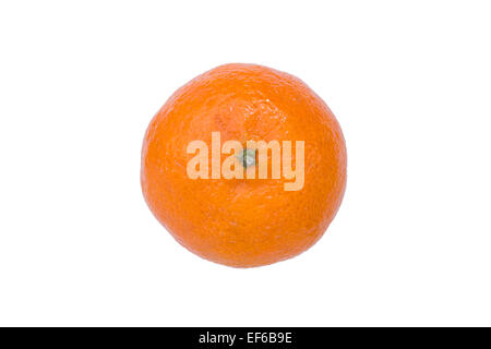 Nahaufnahme von einem Reifen Clementine (Citrus Clementina), isoliert auf weißem Hintergrund Stockfoto