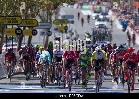 Adelaide, South Australia, Australien. 25. Januar 2015. CADEL EVANS während der Santos Tour Down Under werden sicher sein Mac Stufe 6 zu sehen. © Gary Francis/ZUMA Wire/ZUMAPRESS.com/Alamy Live-Nachrichten Stockfoto