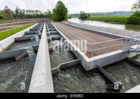 Fische passieren, Fluss Ruhr bei Schwerte, eine künstliche Wasserstraße für Fische, und den Fluss schwimmen, einen Damm zu umgehen Stockfoto