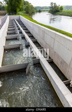 Fische passieren, Fluss Ruhr bei Schwerte, eine künstliche Wasserstraße für Fische, und den Fluss schwimmen, einen Damm zu umgehen Stockfoto