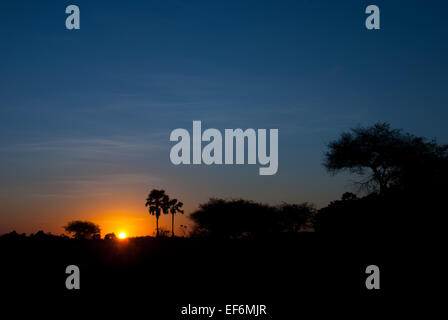 Sonnenuntergang auf trockener, tropischer Landschaft während der Trockenzeit auf der Roten Insel, Ost-Nusa Tenggara, Indonesien. Stockfoto