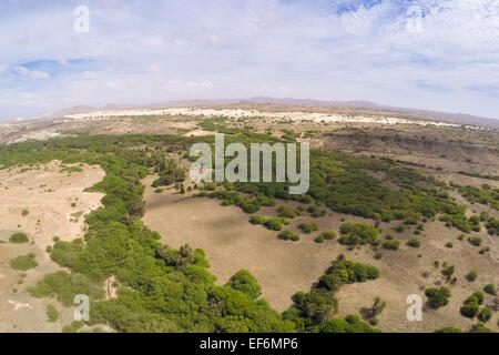 Luftbild - Oase in der Nähe von Viana Wüste, Boavista - Kapverden Stockfoto