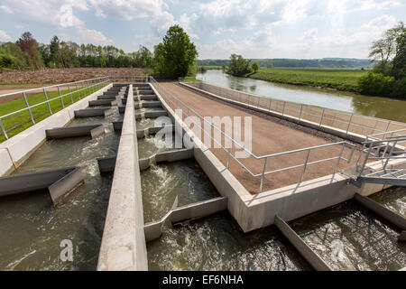 Fische passieren, Fluss Ruhr bei Schwerte, eine künstliche Wasserstraße für Fische, und den Fluss schwimmen, einen Damm zu umgehen Stockfoto