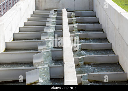 Fische passieren, Fluss Ruhr bei Schwerte, eine künstliche Wasserstraße für Fische, und den Fluss schwimmen, einen Damm zu umgehen Stockfoto