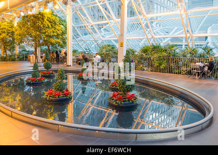Das Devon Gärten, ganzjährigen indoor Park, Calgary, Alberta, Kanada Stockfoto