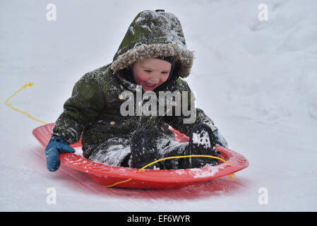 Ein kleiner Junge (2 1/2 Jahre) lachen beim Rodeln Stockfoto