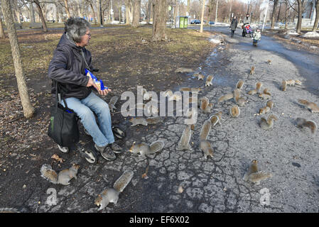 Ein behinderter Mann Fütterung Eichhörnchen in einem park Stockfoto