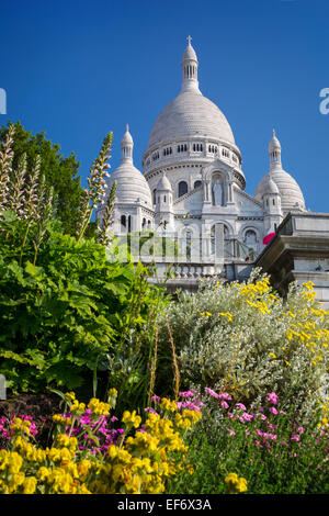 Blumen im Garten unten Basilique du Sacre Coeur, Montmartre, Paris, Frankreich Stockfoto