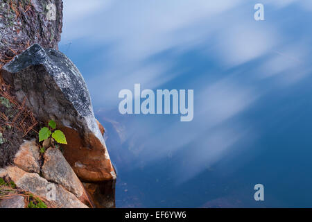Eine abstrakte Foto ein Bäumchen Bäumchen wachsen zwischen den Felsen mit bewegte Wolken im Wasser gespiegelt. Stockfoto