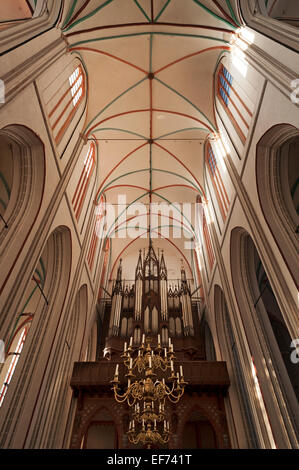 Gotische Gewölbe, früh 13. Jahrhundert über die Orgel von Friedrich Ladegast, 1868, Schweriner Dom St. Maria und St. Johannes Stockfoto