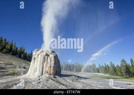 Lone Star Geyser, Yellowstone National Park, Wyoming, USA Stockfoto