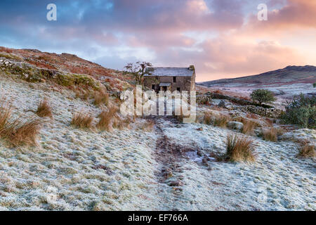 Eine schöne aufgegeben frostigen Winter Sonnenaufgang über ein altes Bauernhaus in Bodmin Moor in Cornwall mit Brown Willy im Hintergrund Stockfoto