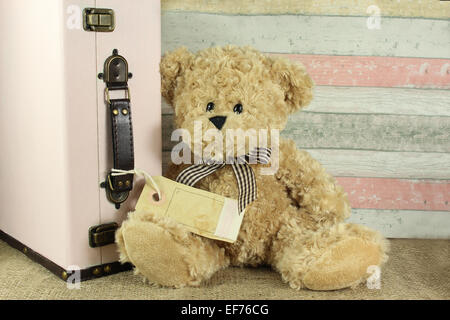 Teddybär mit Vintage Koffer und leere Tag für Ihren eigenen text Stockfoto
