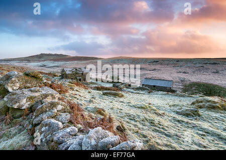 Schöne dramatische Winter Sonnenaufgang über einem alten verlassenen Bauernhof am Fuße des Brown Willy hoch oben am Bodmin Moor in Cornwall Stockfoto