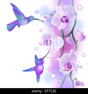 Vektor nahtlose Muster mit Blumen sanfte violette Orchideen und Kolibris Stock Vektor