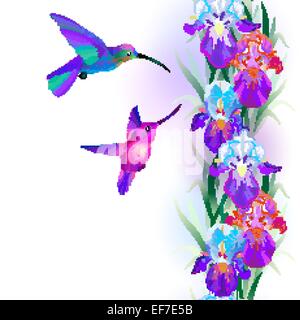 Vektor nahtlose Muster mit bunten Iris Blüten und Kolibris Stock Vektor