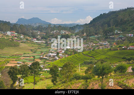 BLICK ÜBER NUWARA ELIYA TEEPLANTAGEN IM SÜDLICHEN BERGLAND Stockfoto