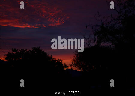 Los Angeles, Kalifornien, USA. 28. Januar 2015. USA Wetter: Sonnenaufgang in Los Angeles California USA Credit: Chester Brown/Alamy Live-Nachrichten Stockfoto