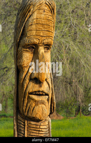 Native American schnitzen, Larimer County, Colorado Stockfoto