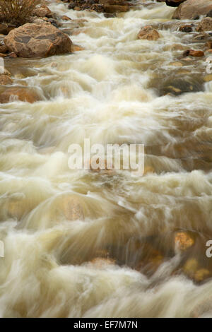 Roaring River, Rocky Mountain Nationalpark, Colorado Stockfoto