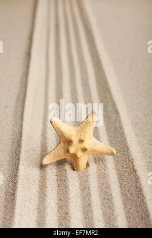 Sterne in den Sand zu stecken, kann als Hintergrund verwendet werden Stockfoto