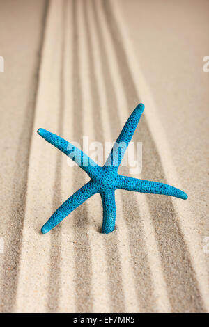 Sterne in den Sand zu stecken, kann als Hintergrund verwendet werden Stockfoto