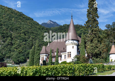 Château Maison Blanche, Weinberge, Yvorne, Region Lavaux, Genfer See, Schweizer Alpen, Schweiz Stockfoto