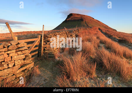 Der Gipfel von Pen-y-Ghent, einer der berühmten drei Gipfel im Yorkshire Dales National Park, England Stockfoto