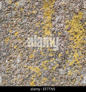 Fragment einer alten Beton Mauer Stockfoto