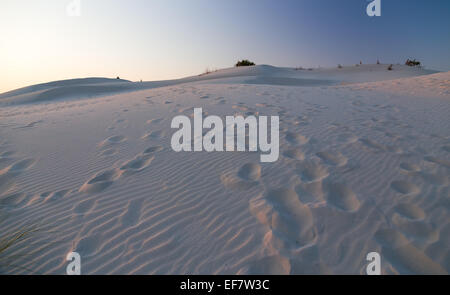 Sanddüne in den letzten Strahlen der untergehenden Sonne. Stockfoto