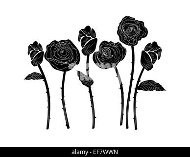 Elegantes schwarz / weiß Darstellung der sechs wunderschöne Rosen mit Blätter, Stängel und Dornen für dekorative Zwecke und Liebe Motiv Stockfoto