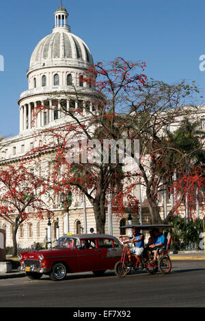 Kapitol in Havanna, Kuba Stockfoto