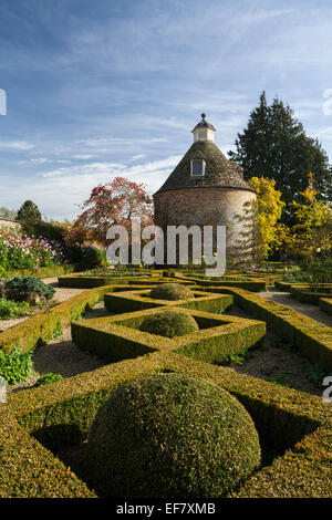 Die geometrische Form der Kastenhecke mit pazifischem Hartholzbaum neben dem Schwalbenholz c.1685 in einem ummauerten Garten, Rousham House, Oxfordshire, England. Stockfoto