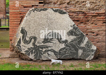 Mosaik-Muster in den Caracalla-Thermen. Rom, Italien Stockfoto