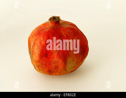 Granatapfel - Früchte aromatisch mit einer süß-sauren Geschmack Stockfoto